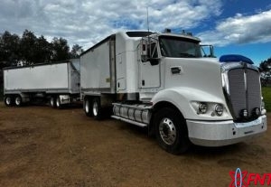 fallback-no-image-119500