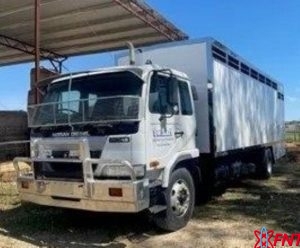 fallback-no-image-120551