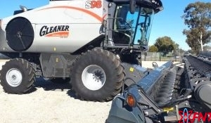 fallback-no-image-119993