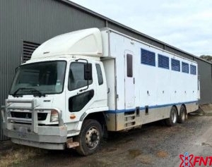 Horse Transport